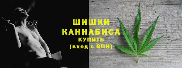 ГАЛЛЮЦИНОГЕННЫЕ ГРИБЫ Богданович