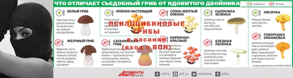 ГАЛЛЮЦИНОГЕННЫЕ ГРИБЫ Богданович