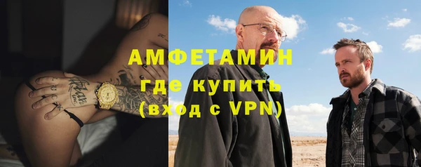 ГАЛЛЮЦИНОГЕННЫЕ ГРИБЫ Богданович