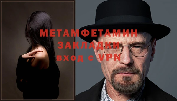 ГАЛЛЮЦИНОГЕННЫЕ ГРИБЫ Богданович