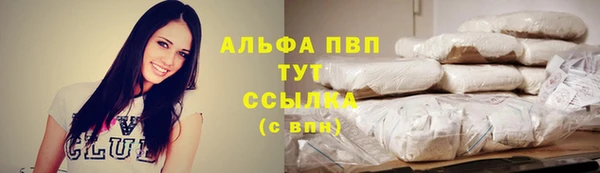 ГАЛЛЮЦИНОГЕННЫЕ ГРИБЫ Богданович