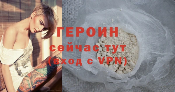 ГАЛЛЮЦИНОГЕННЫЕ ГРИБЫ Богданович