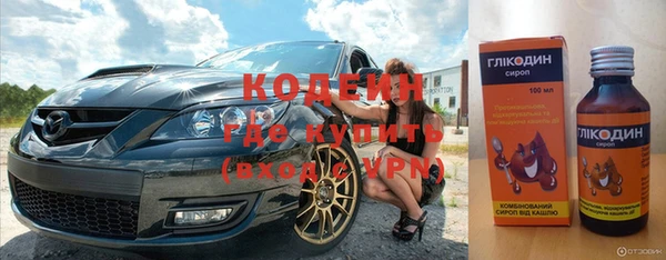 ГАЛЛЮЦИНОГЕННЫЕ ГРИБЫ Богданович